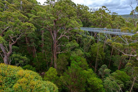 4 Day Tour: Albany, Margaret River, Valley Of The Giants TreeTop Walk From Perth - Flights 4