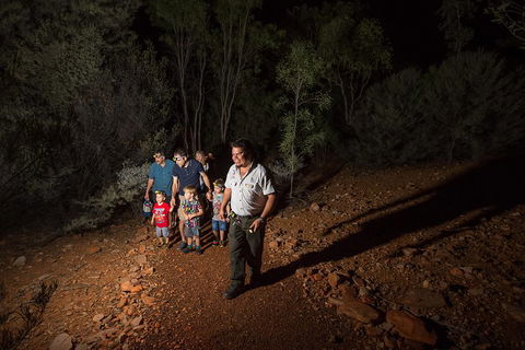 Alice Springs Desert Park Nocturnal Tour - Flights 0