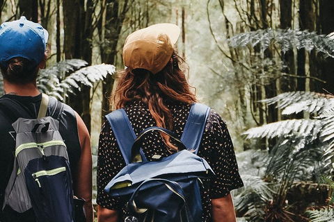 Small Group - Yarra Valley & Dandenong Ranges Hike From Melbourne - Flights 0