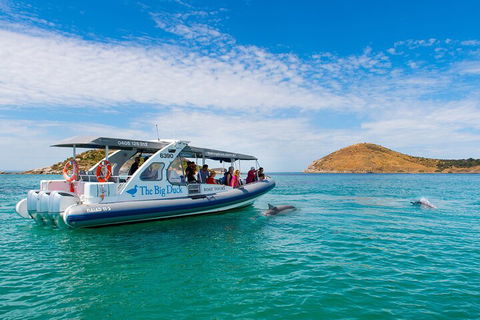 Southern Ocean Adventure From Victor Harbor - Flights 1