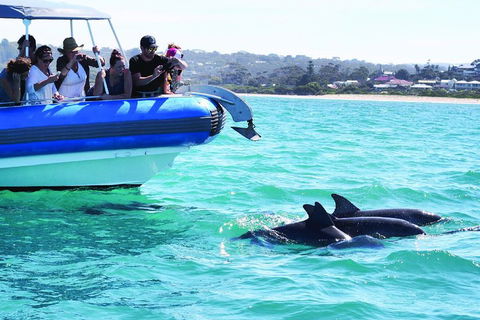 Southern Ocean Adventure From Victor Harbor - Flights 2