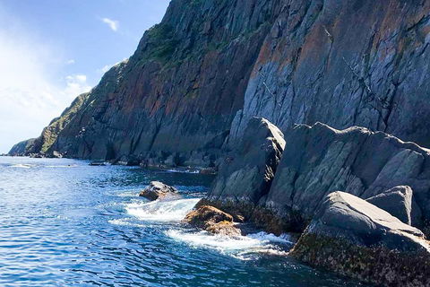 Southern Ocean Adventure From Victor Harbor - Flights 3