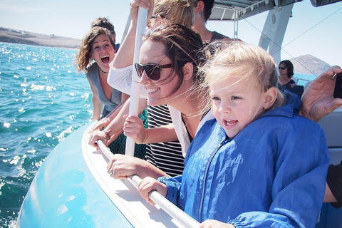 Southern Ocean Adventure From Victor Harbor - Flights 4