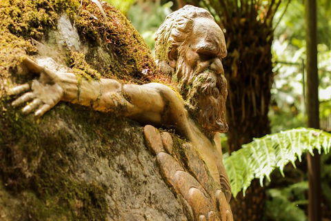 Dandenong Ranges Private Tour Including William Ricketts Sanctuary - Flights 3