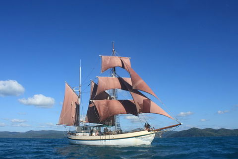 Sydney Harbour Tall Ship Whale & Sail - Whale Watching Cruise - Flights 1