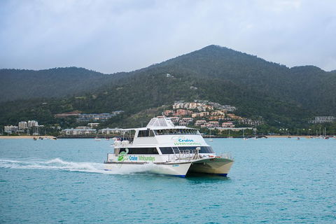 Whitsunday Islands Hopper Pass - Flights 4