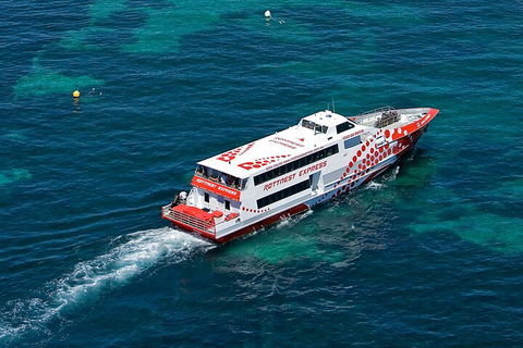 Discover Rottnest With Ferry & Bus Tour From Perth Or Fremantle - Flights 3