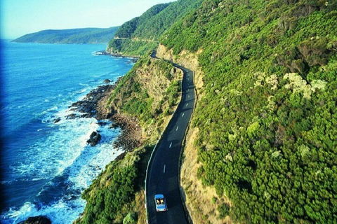 Melbourne Super Saver: Great Ocean Road + Mornington Peninsula + Attraction Pass - Flights 0
