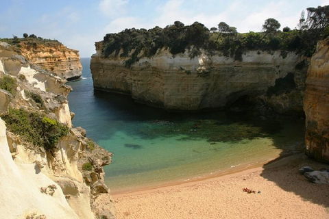 Melbourne Super Saver: Great Ocean Road + Mornington Peninsula + Attraction Pass - Flights 3