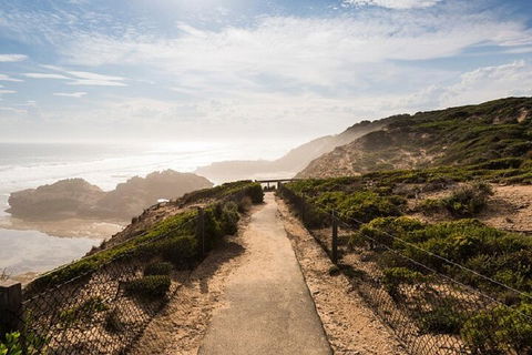 Melbourne Super Saver: Great Ocean Road + Mornington Peninsula + Attraction Pass - Flights 4