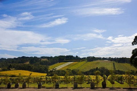 Melbourne Super Saver: Great Ocean Road + Mornington Peninsula + Attraction Pass - Flights 5