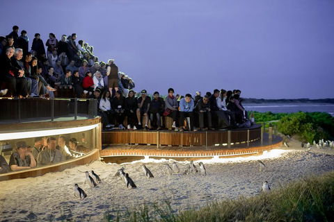 Small-Group Phillip Island Penguin Parade Day Tour From Melbourne - Flights 3