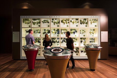 Australian Wine Discovery Tour Ticket - Flights 3