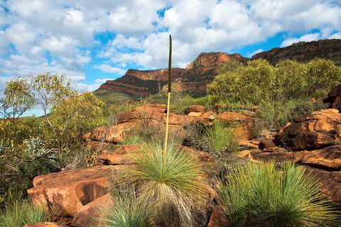 6-Day Eyre Peninsula & Flinders Ranges Adventure Tour - Flights 1