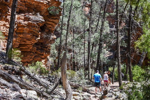 6-Day Eyre Peninsula & Flinders Ranges Adventure Tour - Flights 5