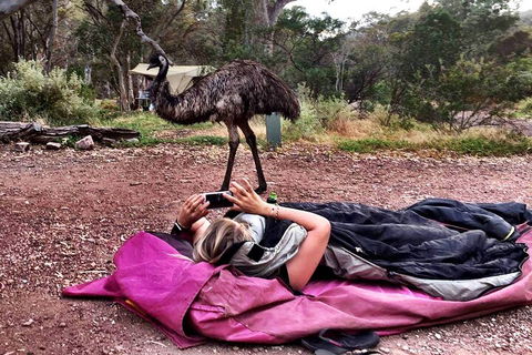 6 Day Esperance & Margaret River Adventure Tour - Flights 5