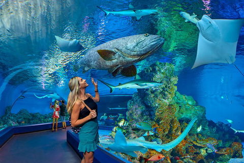 Cairns Aquarium Admission Ticket - Flights 3