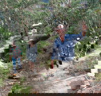 Small-Group Blue Mountains Tour with Bush Walks and Featherdale Wildlife Park - Flights