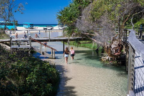 All-Inclusive Fraser Island Day Tour - Flights 4