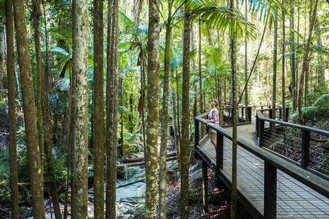 All-Inclusive Fraser Island Day Tour - Flights 5