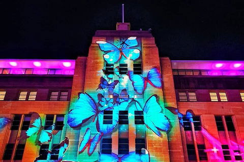 Vivid 90-Minute Sydney Harbour Small Group Catamaran Cruise - Flights 0