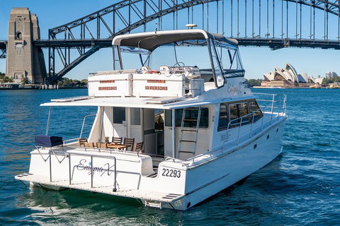 Vivid 90-Minute Sydney Harbour Small Group Catamaran Cruise - Flights 4
