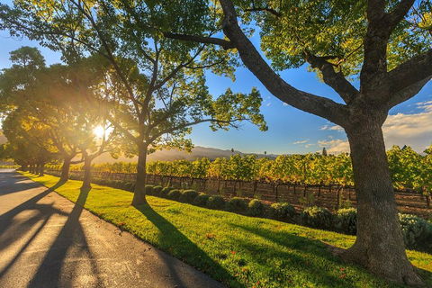 Very Best Of Perth Tour - Wildlife Park & City Highlights Tour - Flights 2