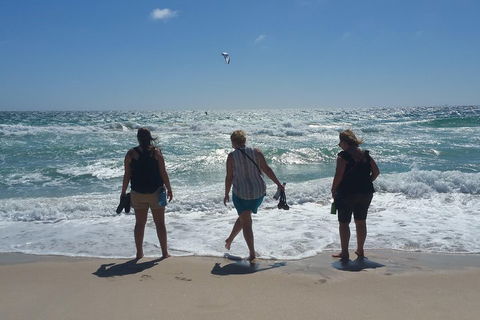 Very Best Of Perth Tour - Wildlife Park & City Highlights Tour - Flights 5