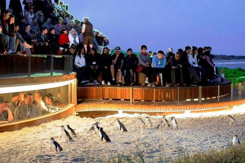 Great Ocean Road & Phillip Island - 3 Days, 2 Nights - Flights 0
